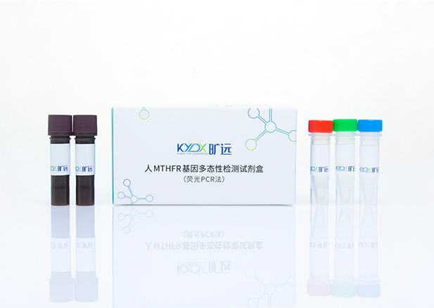 人MTHFR基因多态性检测试剂盒（荧光PCR法）